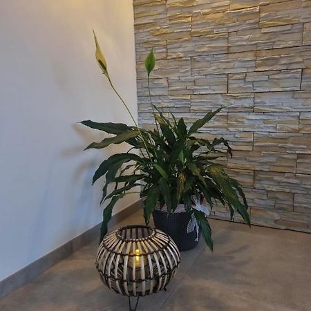 מכרניך Wellness Ferienhaus מראה חיצוני תמונה