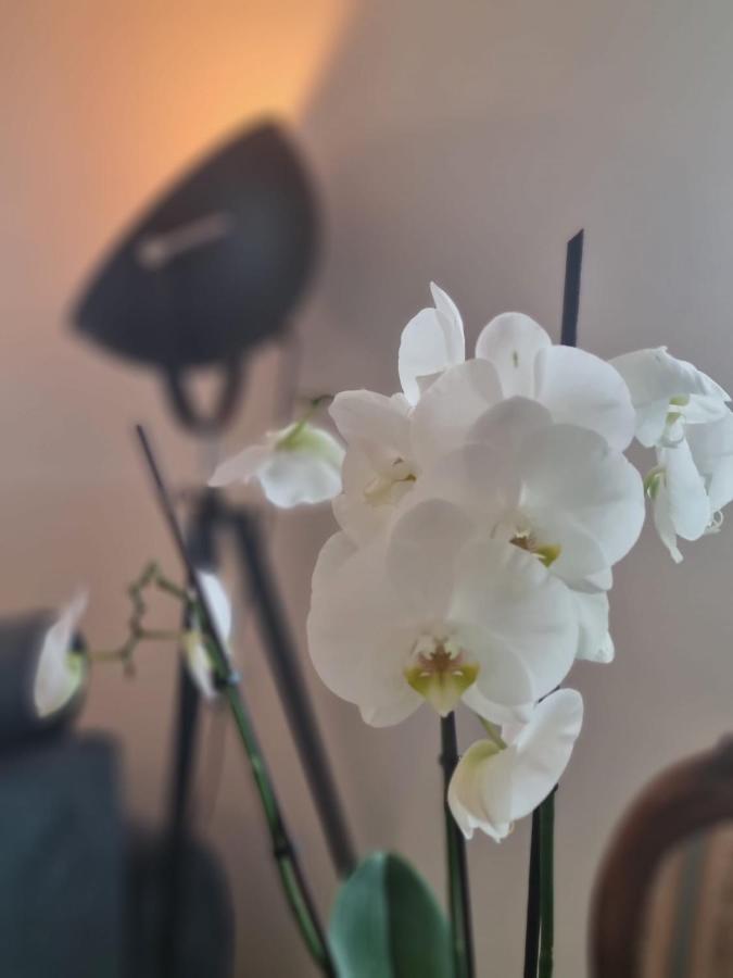 מכרניך Wellness Ferienhaus מראה חיצוני תמונה