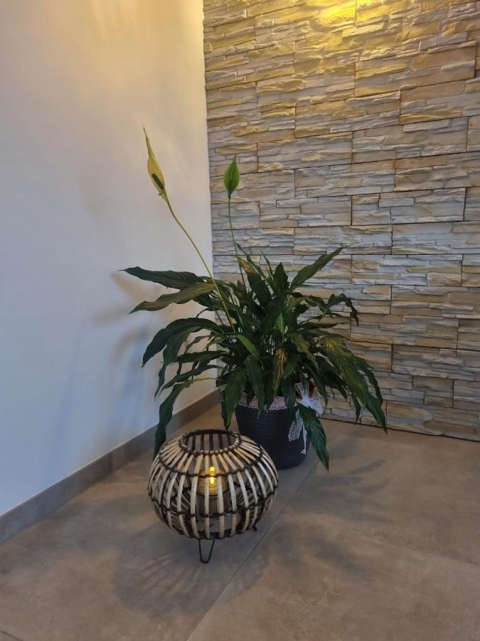 מכרניך Wellness Ferienhaus מראה חיצוני תמונה